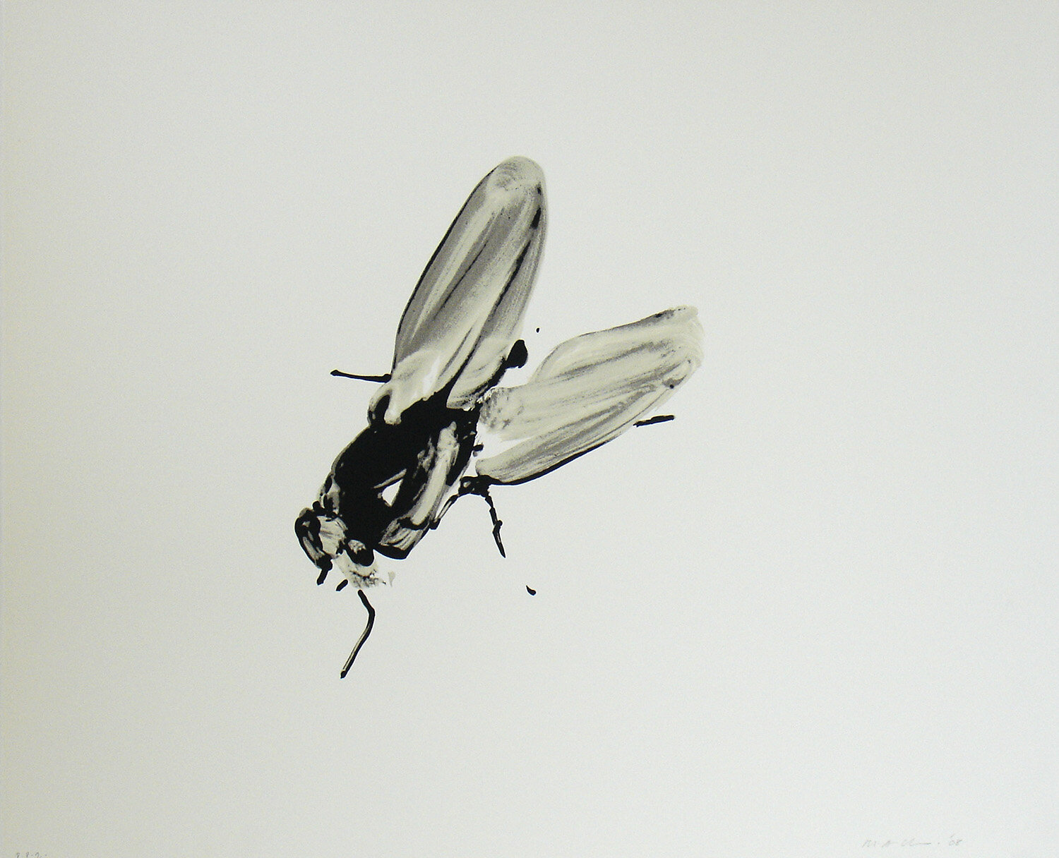 Fly by Michelle Charles