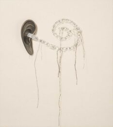 Ear Poem by Lesley Dill at Graphicstudio