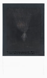 We Look For Tracings by Lesley Dill at Graphicstudio