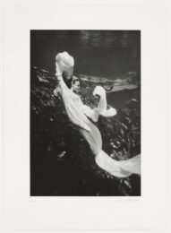 Naiad 1 by Janaina Tschape at Graphicstudio