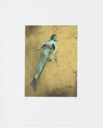 Undine by Janaina Tschape at Graphicstudio