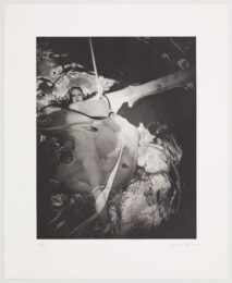 Volva by Janaina Tschape at Graphicstudio