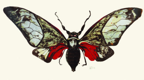 Salvazana Imperialis by Sarah Graham at Sims Reed Gallery (IFPDA)