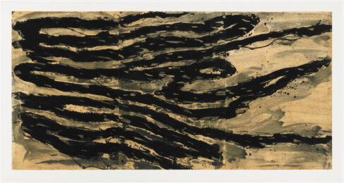 Sign Of The Tiger by Hugh O'Donnell at Graphicstudio