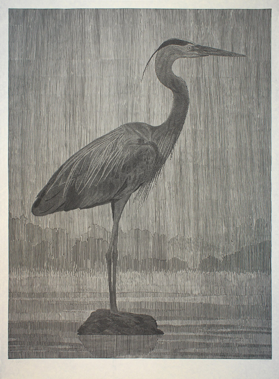 Bird 1 by Richard Ryan