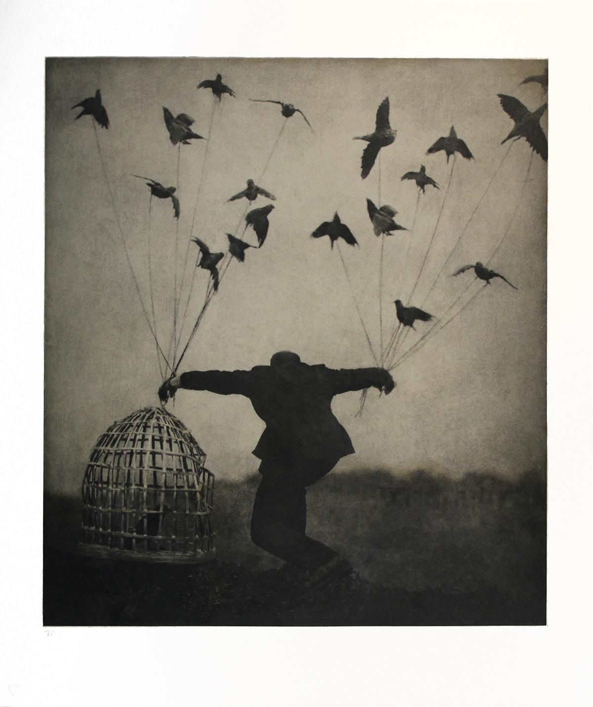 Flying Lesson by Robert ParkeHarrison