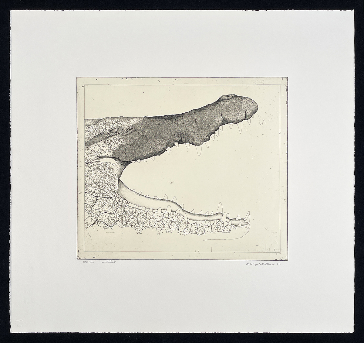 Untitled (crocodile) by George Whitman