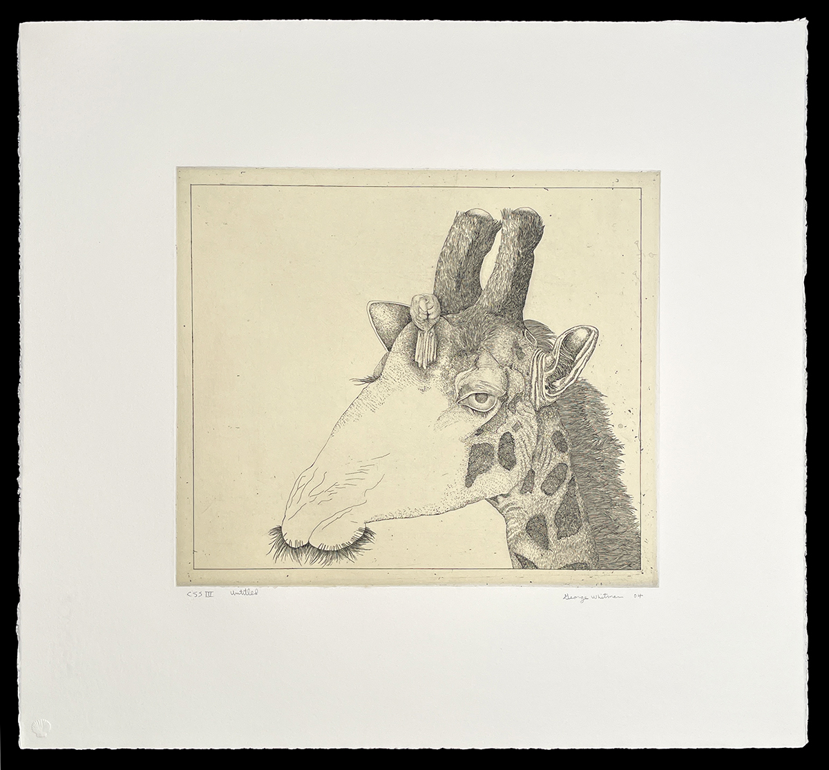 Untitled (giraffe) by George Whitman