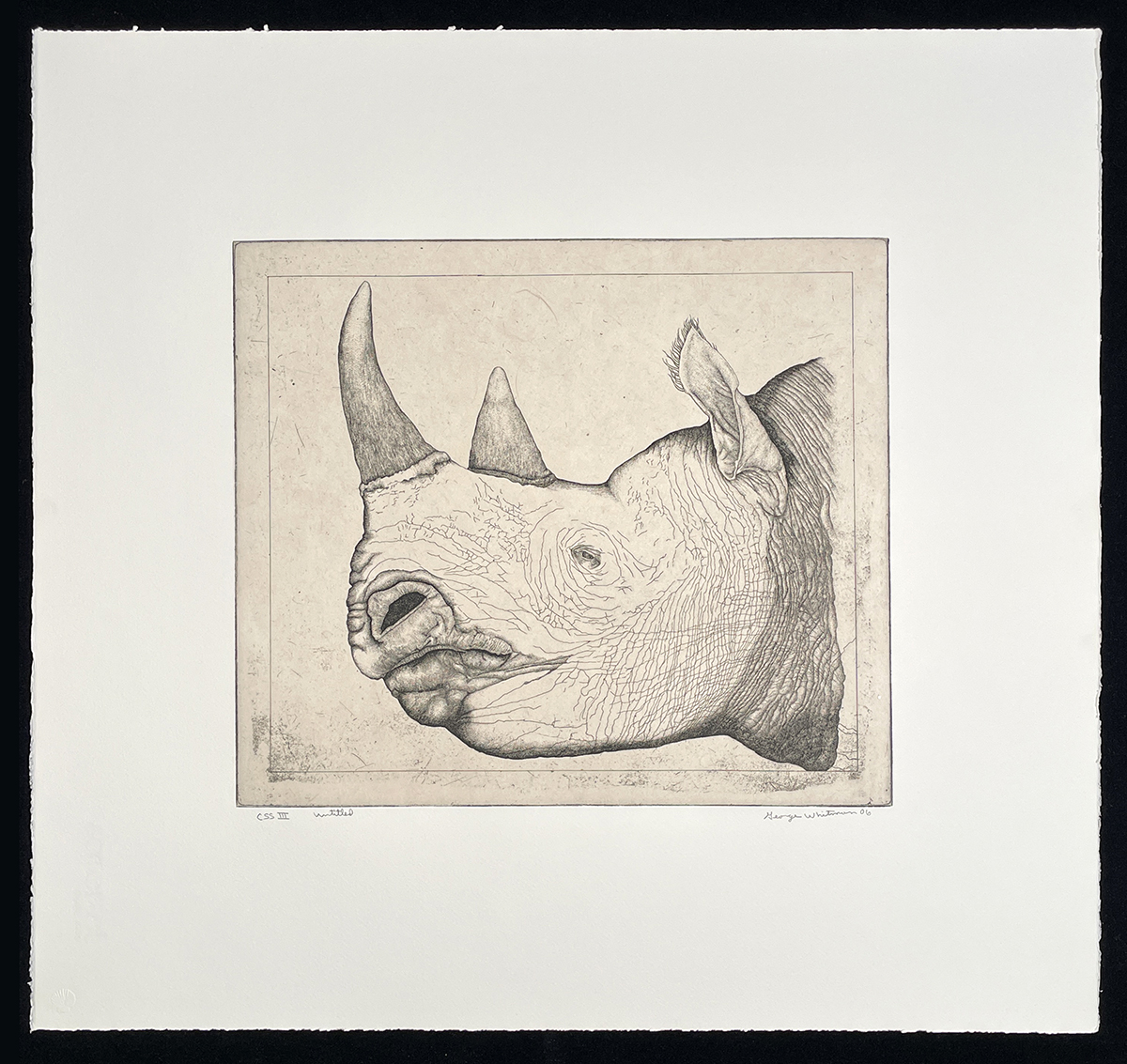 Untitled (rhino) by George Whitman