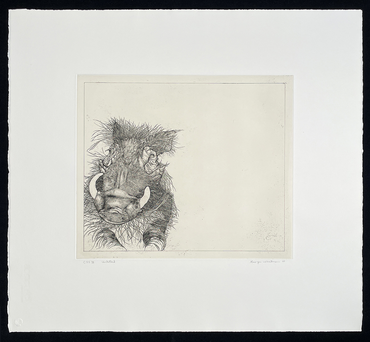 Untitled (warthog) by George Whitman