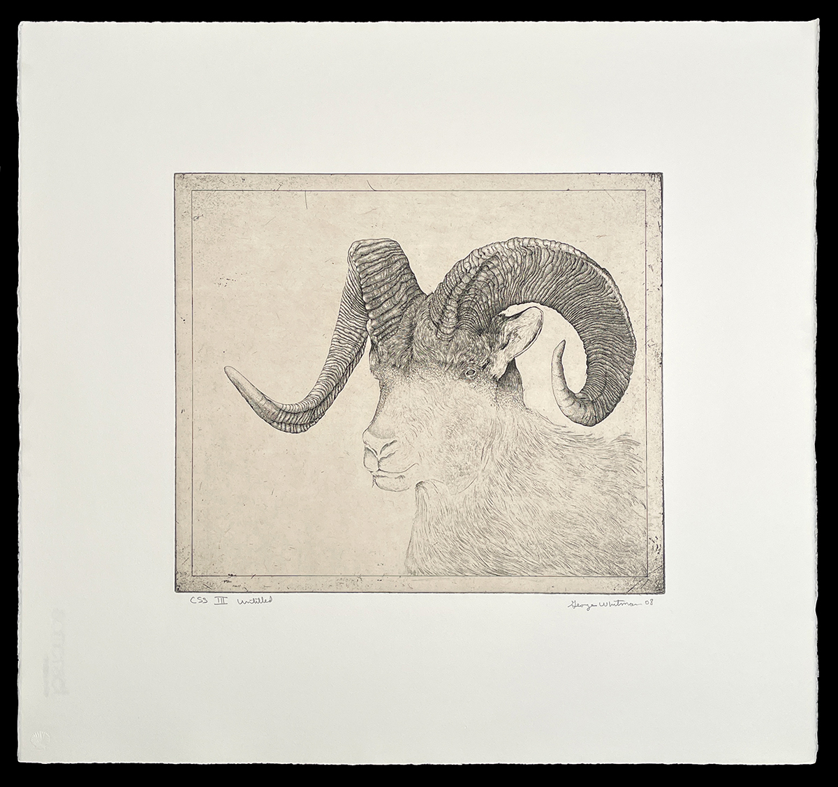 untitled (ram) by George Whitman
