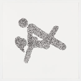 Lovebugs by Vik Muniz at Graphicstudio