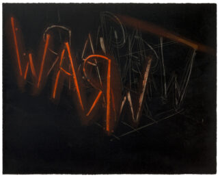 Raw War by Bruce Nauman at Susan Sheehan Gallery