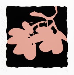 Lantern Flowers – Coral, May 10, 2012 by Donald Sultan at Michael Lisi/Contemporary Art
