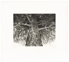Untitled by Manabu Ikeda at Tandem Press (IFPDA)