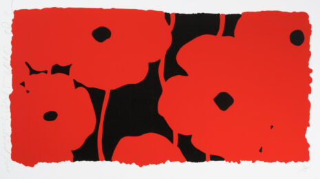 Eight Poppies by Donald Sultan at Michael Lisi/Contemporary Art