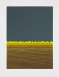 Corona II by Ann Aspinwall at Aspinwall Editions