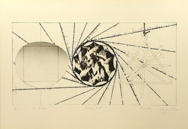 1/2 Sunglasses Landing Net Triangle by James Rosenquist at Gregg Shienbaum Fine Art