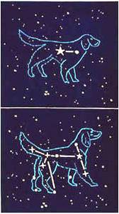 Canis Major/minor by Richard Bosman