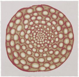 Circular Battery by James Siena at Aspinwall Editions
