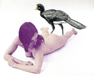 Currasow by Mel Ramos at RoGallery