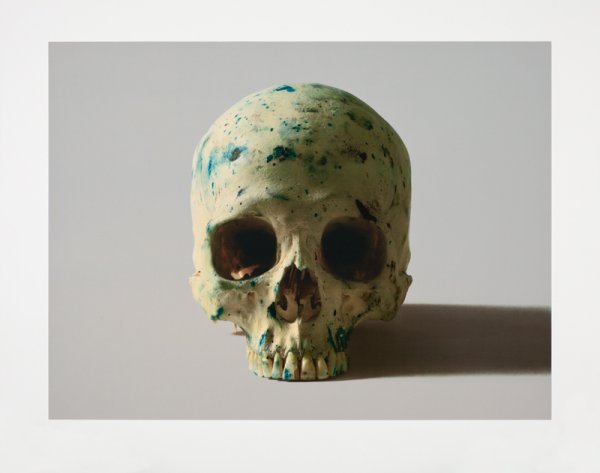 Studio Half Skull, Face On (without Diamond Dust) by Damien Hirst