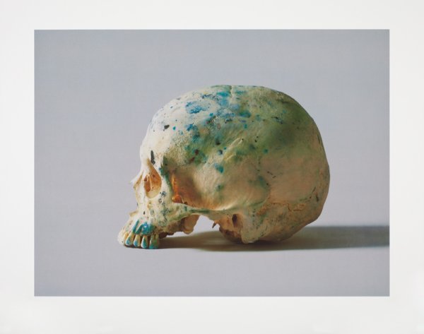 Studio Half Skull, Half Face (without Diamond Dust) by Damien Hirst