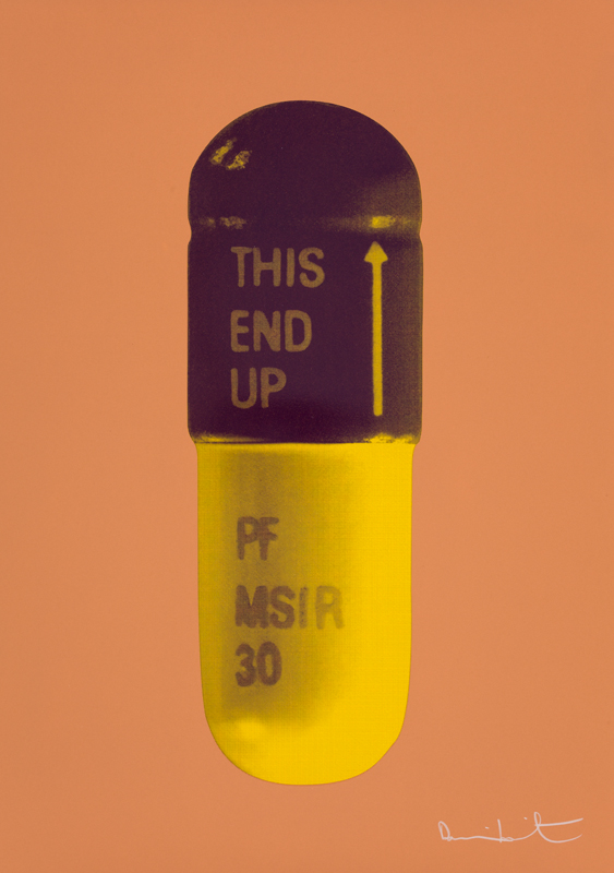 The Cure – Caramel/grape/mustard by Damien Hirst