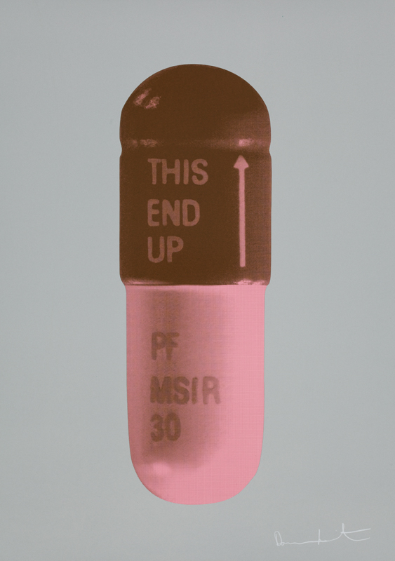 The Cure – Frigate/chocolate/rose Pink by Damien Hirst