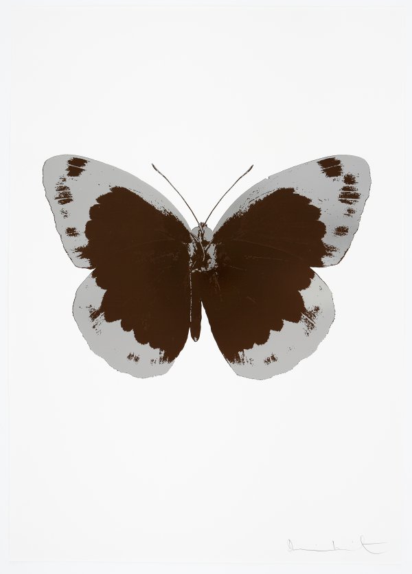 The Souls Ii – Chocolate/silver Gloss/blind Impres by Damien Hirst