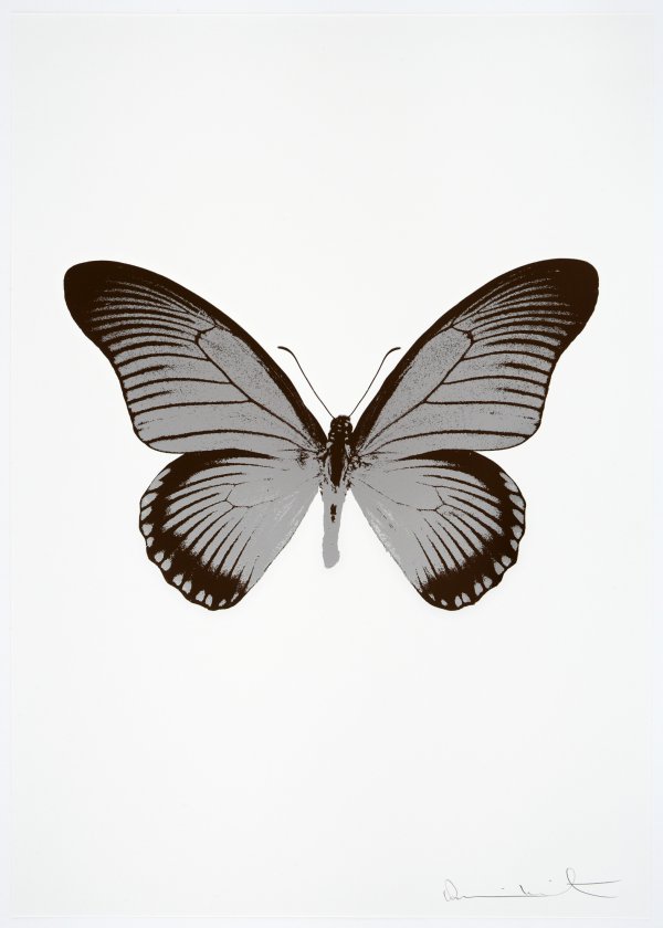 The Souls Iv – Silver Gloss/chocolate by Damien Hirst