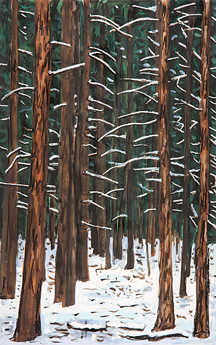 Deep Forest by Richard Bosman