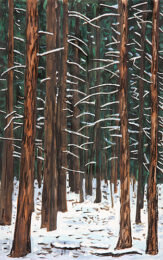 Deep Forest by Richard Bosman at ebo Gallery