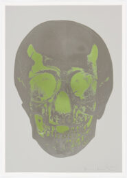 Dove Grey Gunmetal Leaf Green Skull by Damien Hirst at Paul Stolper Gallery