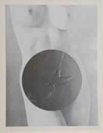 Dove Tale by Mel Ramos at RoGallery