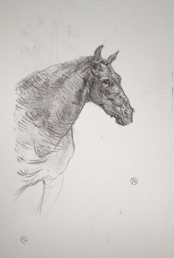 Le Poney Philibert by Henri de Toulouse-Lautrec
