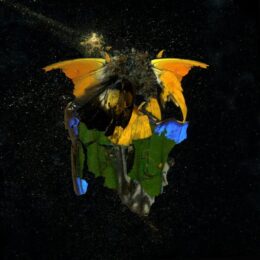 Insecticide 14 by Mat Collishaw at Paupers Press