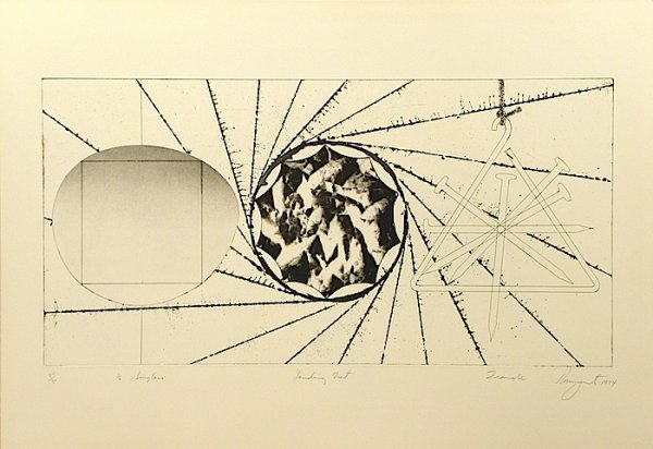1/2 Sunglasses Landing Net Triangle by James Rosenquist
