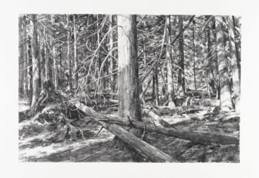 Lopez Islands Woods by Michael Kareken at Highpoint Editions