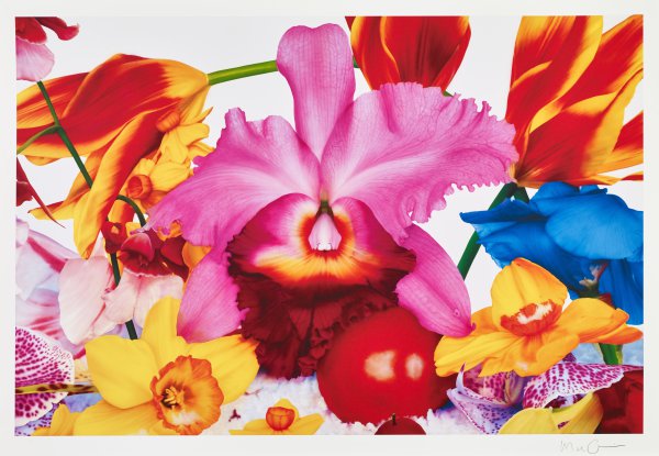 Icelandic Lava Plane by Marc Quinn