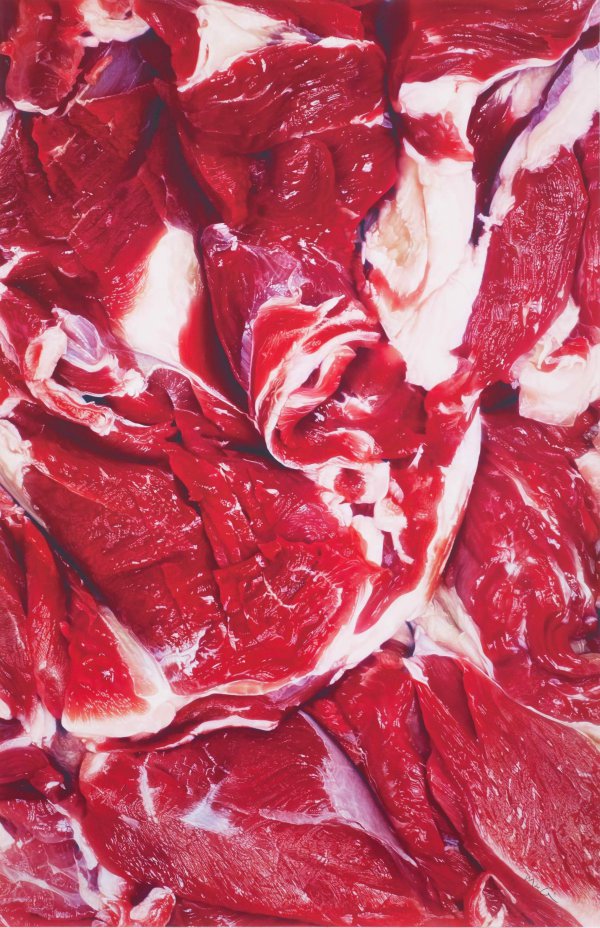 On Vegetarianism by Marc Quinn