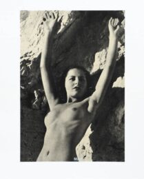 N Is For Nude by Peter Blake at Brandler Galleries
