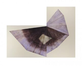 Ninth Messenger #1 by Eva Bovenzi at Oehme Graphics
