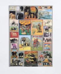 P Is For Pachyderm ( Elephant ) by Peter Blake at Brandler Galleries