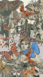Paris-butterflies Ii by Peter Blake at Paul Stolper Gallery