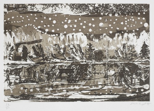Night Fishing by Peter Doig