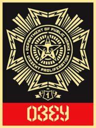 Public Works Medal by Shepard Fairey at Gregg Shienbaum Fine Art