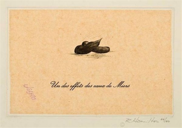 Un Des Effets Des Eaux De Miers by Richard Hamilton