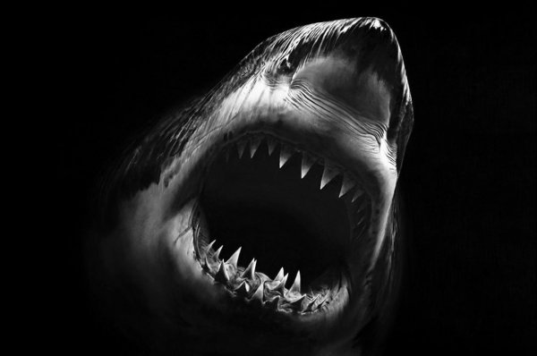 Bruce by Robert Longo