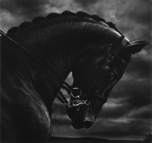 Untitled (bucephalus) by Robert Longo
